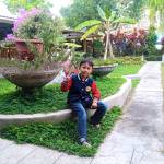 Ade Wartono Profile Picture