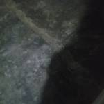 Ade Ganjar nugraha Profile Picture
