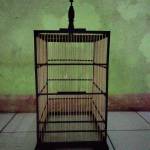 nurul arifin Profile Picture