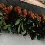 Dun Madun Profile Picture