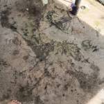 Anjar Widianto Profile Picture