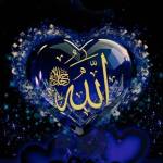 dedes1 Profile Picture