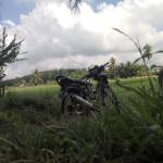 Nur yongki Profile Picture