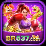 br537 br537 Profile Picture