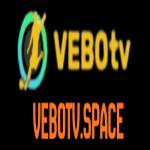 vebotv space Profile Picture