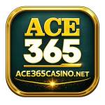ace365 Profile Picture