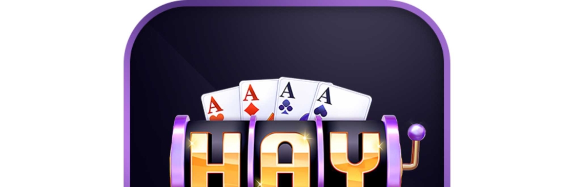 HAYWIN Cover Image
