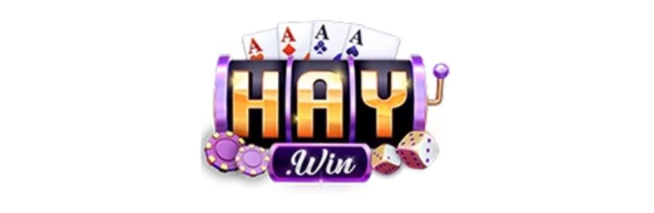 HAYWIN Cover Image
