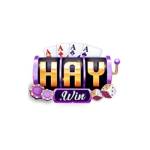 HAYWIN Profile Picture